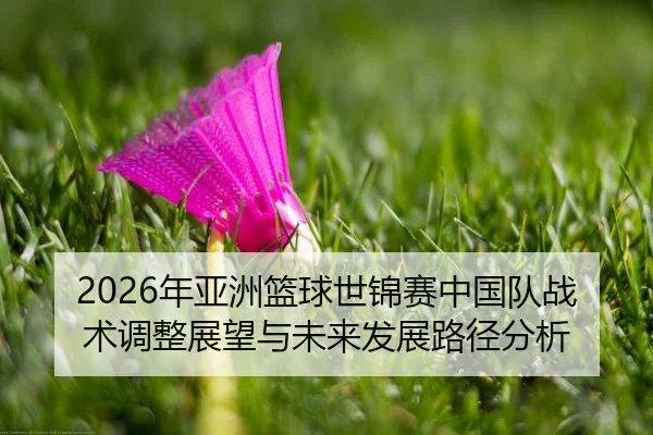 nian-ya-zhou-lan-qiu-shi-jin-sai-zhong-guo-dui-zhan-shu-tiao-zheng-zhan-wang-yu-wei-lai-fa-zhan-lu-jing-fen-xi-2-764.jpg